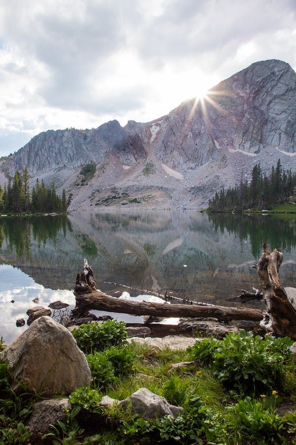 Una montagna rocciosa si riflette in un lago calmo mentre il sole spunta dalla sua cima, con un tronco e piante verdi sulla riva.