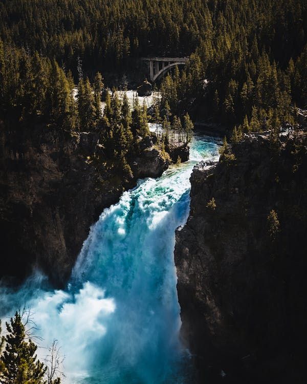 Una potente cascata turchese si getta in un canyon roccioso, con una fitta pineta e un ponte visibili sullo sfondo.