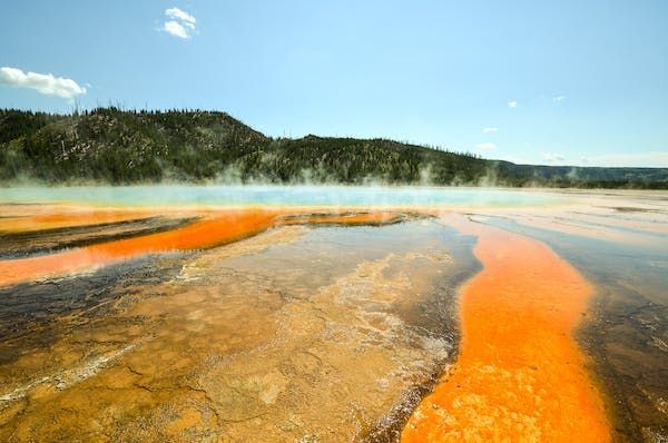 Una sorgente termale colorata con depositi minerali arancione brillante rilascia vapore di fronte a colline boscose sotto un cielo azzurro chiaro.