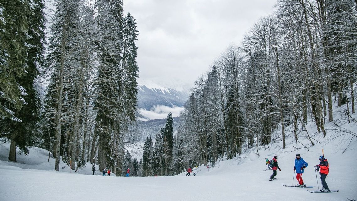 Un viaggio di gruppo WeRoad per sciare su un pendio montano innevato circondato da alti pini coperti di neve.