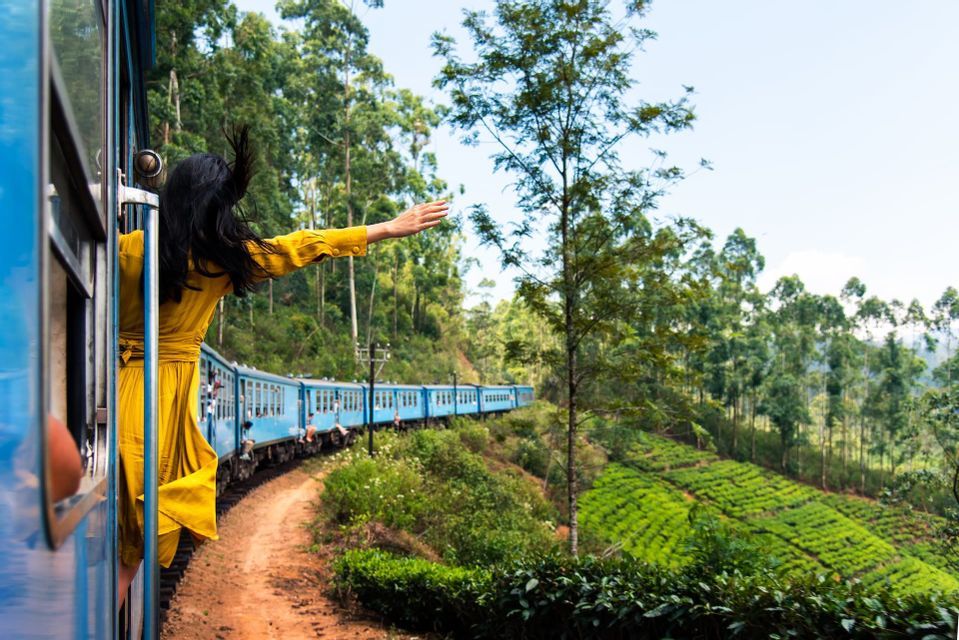 A person in a yellow suit leans out of the window of a blue train traveling through lush tea plantations.
