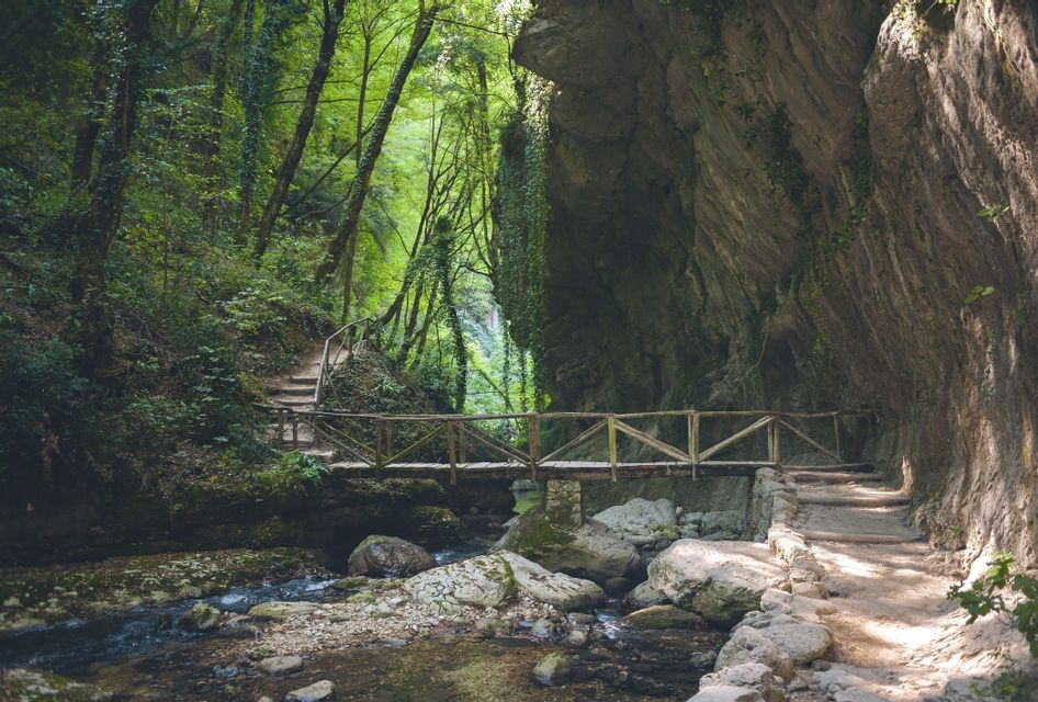 Una passerella di legno attraversa un ruscello roccioso in una gola forestale lussureggiante e verde, con un sentiero scavato nella parete rocciosa.
