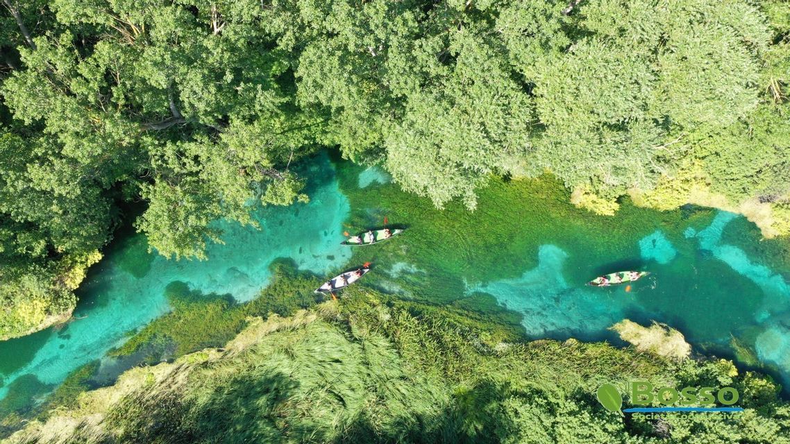 Vista aerea di un viaggio di gruppo WeRoad in kayak su un fiume limpido e turchese attraverso una foresta verde lussureggiante
