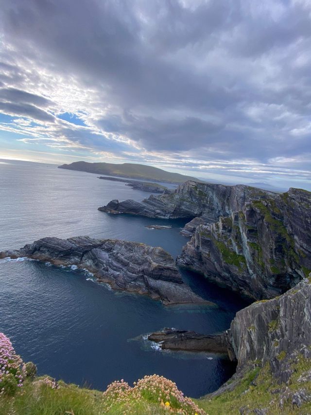 Veduta dall'alto di una costa rocciosa e frastagliata che si protende nel mare blu intenso sotto un cielo nuvoloso, con fiori selvatici in primo piano.