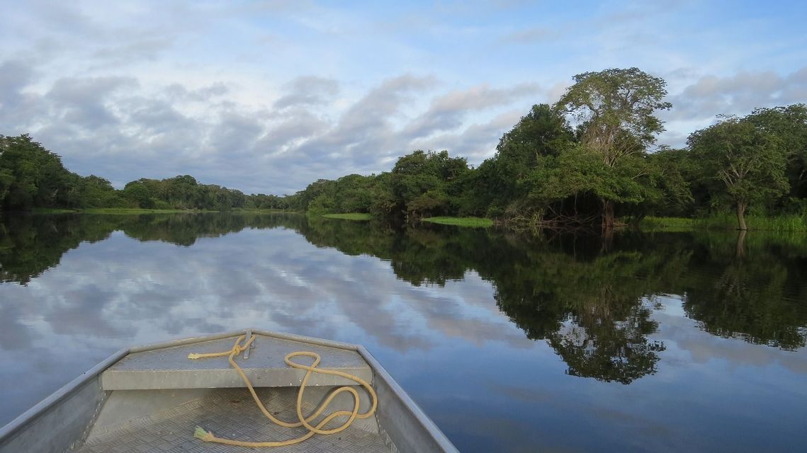 La prua di una barca di metallo scorre lungo un fiume calmo, riflettendo sulla sua superficie gli alberi della giungla fitta e un cielo parzialmente nuvoloso.