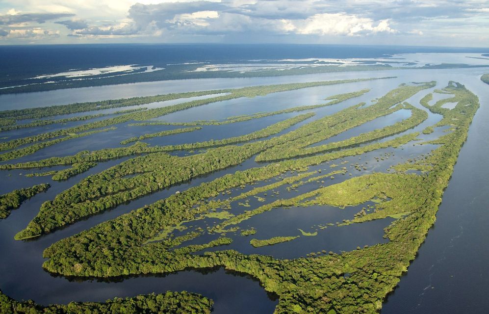 Veduta aerea di un vasto arcipelago fluviale con lunghe isole alberate che creano una rete di canali d'acqua scura sotto un cielo nuvoloso.