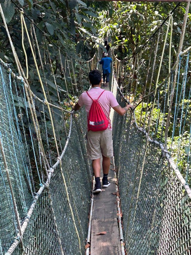 Un groupe WeRoad traverse en file indienne un étroit pont de singe suspendu, au milieu d'une jungle dense.