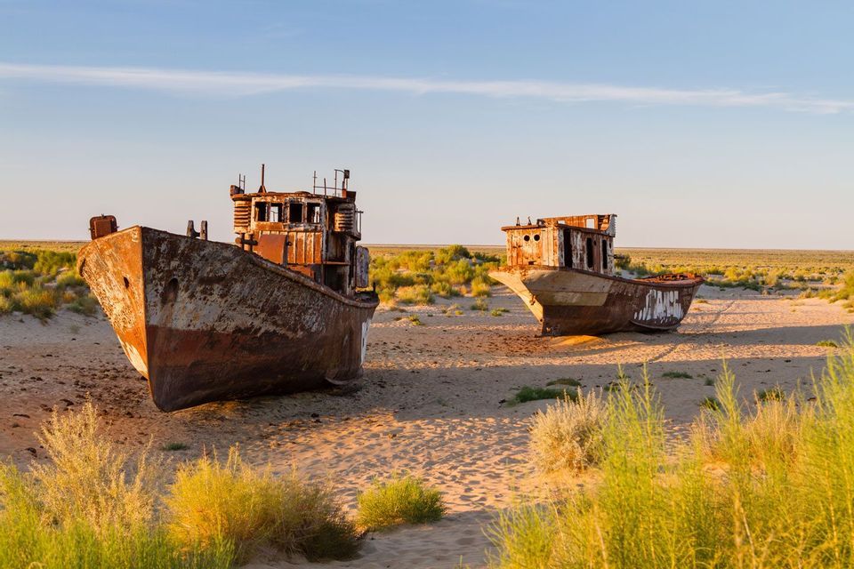 Due grandi navi arrugginite si trovano abbandonate in un paesaggio desertico sabbioso, con cespugli verdi sotto un cielo azzurro e limpido.