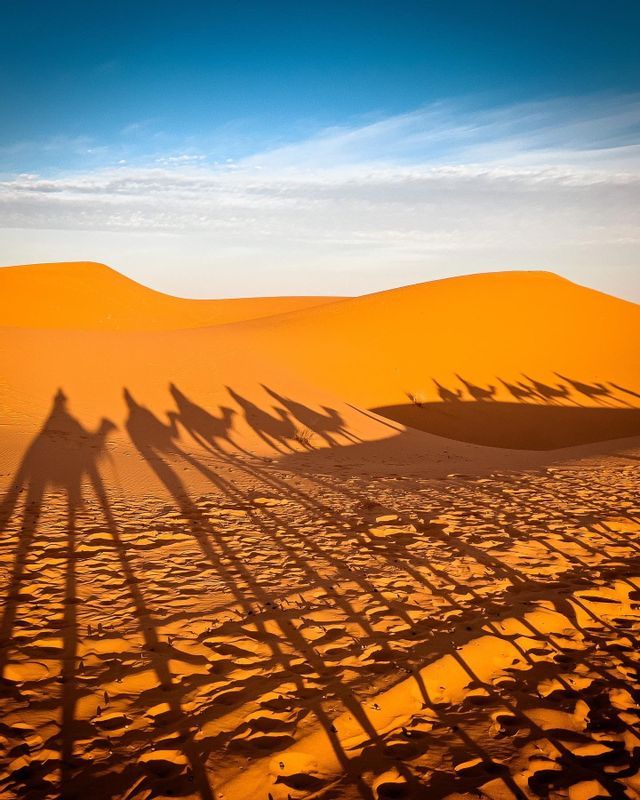 Lunghe ombre di una carovana di cammelli si estendono attraverso dune di sabbia arancione sotto un cielo blu vibrante.