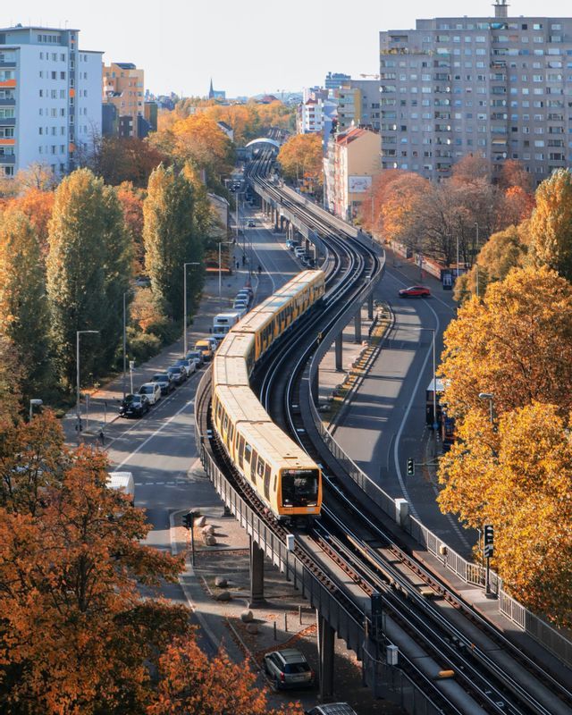 Un treno giallo viaggia lungo un binario sopraelevato e curvo attraverso una città con alberi dai colori autunnali e palazzi.