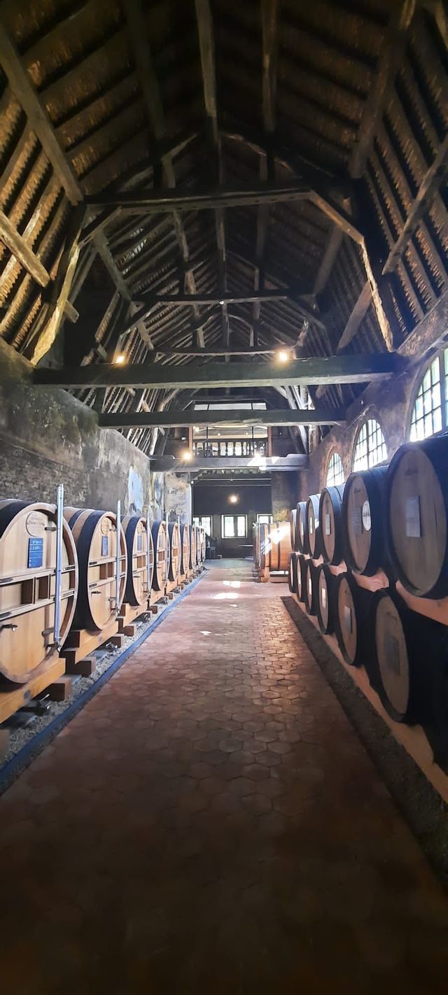 De grands tonneaux en bois alignés dans une longue cave avec un haut plafond à poutres apparentes et un sol carrelé.