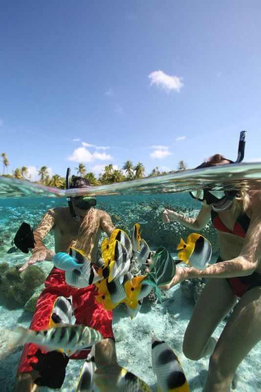 Un viaggio di gruppo WeRoad per fare snorkeling con pesci tropicali colorati in acque cristalline.