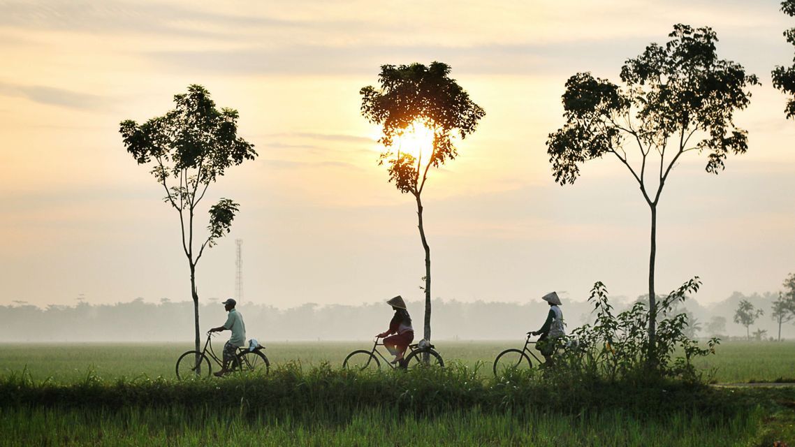 Un grupo de WeRoad en bicicleta por un sendero entre campos verdes al amanecer.
