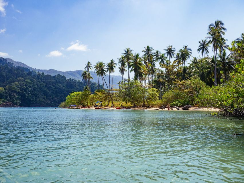 Une crique tropicale avec une eau turquoise limpide caressant une plage de sable bordée de palmiers et de montagnes boisées.