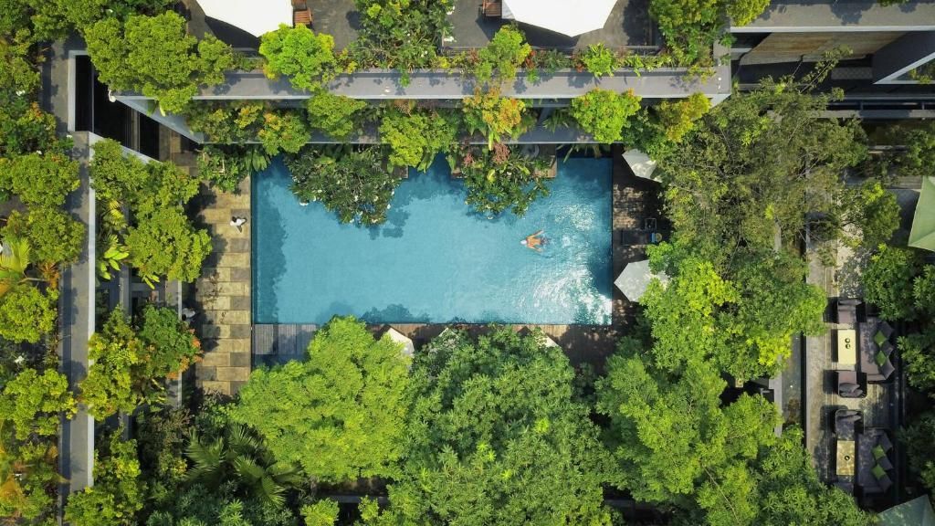 Vue plongeante d'une personne nageant dans une piscine rectangulaire entourée d'arbres verdoyants et d'une architecture hôtelière moderne.