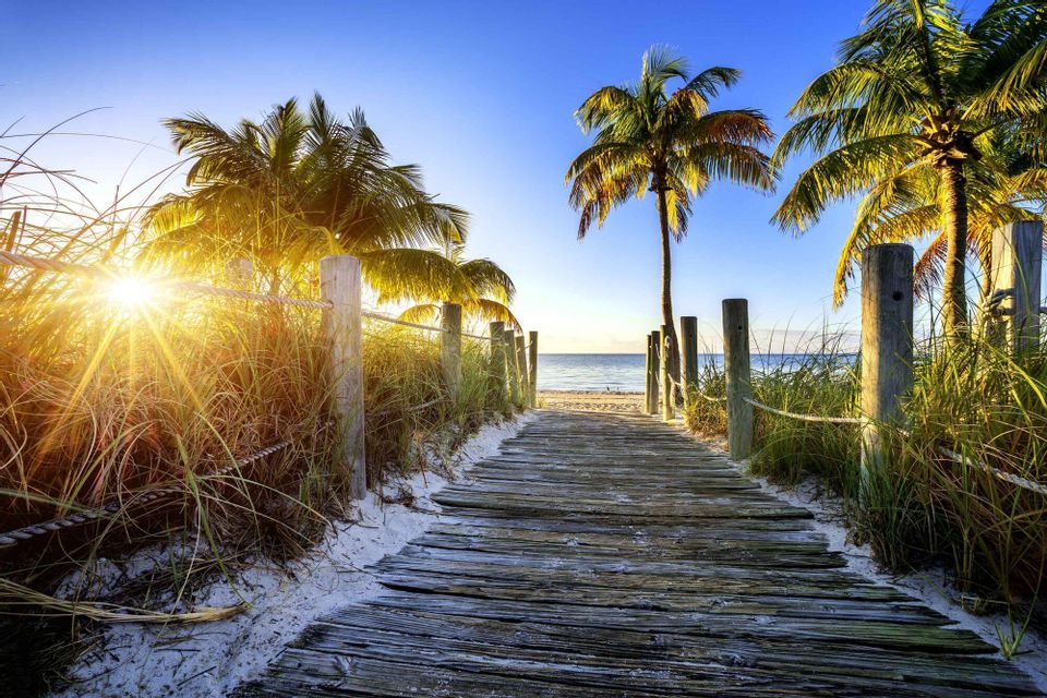 Una passerella di legno conduce attraverso dune di sabbia e palme fino a una spiaggia all'alba.