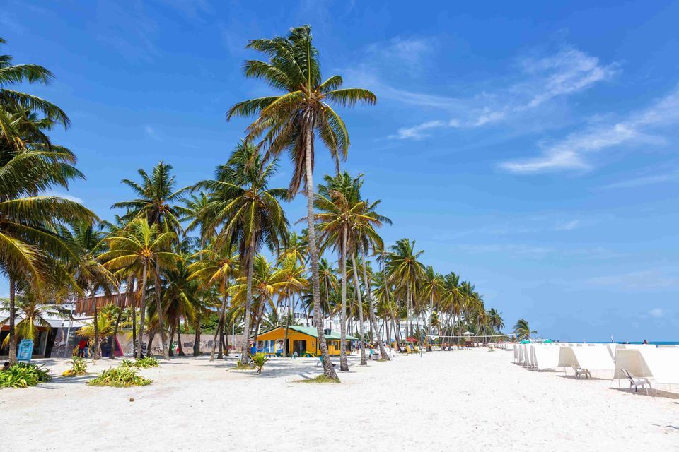 Alte palme fiancheggiano una spiaggia di sabbia bianca con un piccolo edificio giallo e sedie a sdraio sotto un cielo azzurro e limpido.