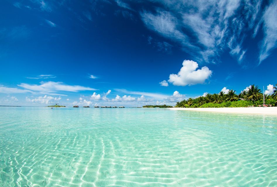 Una vista dall'oceano limpido e turchese verso una spiaggia di sabbia bianca fiancheggiata da palme sotto un cielo azzurro vivido.