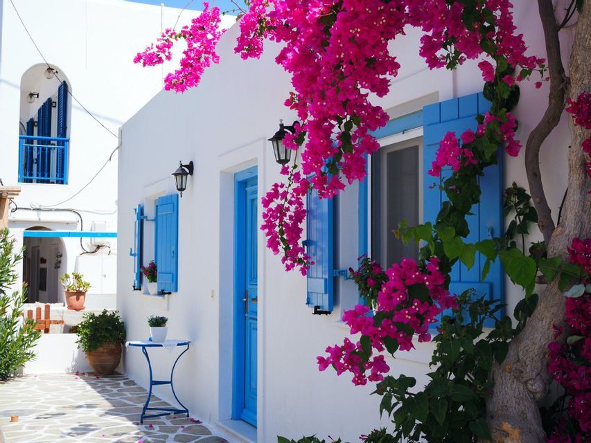 Fiori di buganvillea rosa scendono a cascata lungo un edificio imbiancato a calce con persiane e una porta di un blu brillante su una strada lastricata in pietra.