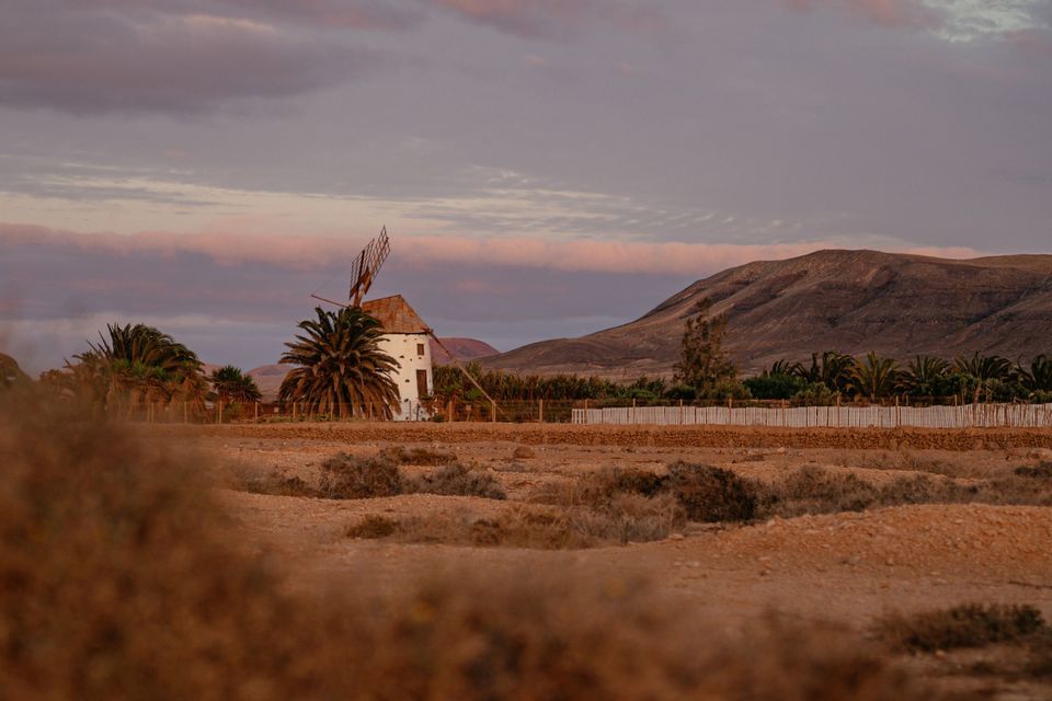 Un molino de viento blanco con palmeras se alza en un paisaje seco y montañoso bajo un cielo rosa y morado al atardecer.