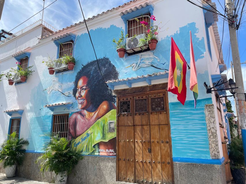 Un gran mural de una mujer sonriente pintado en el lateral de un edificio blanco y azul con una puerta de madera y plantas en maceta.