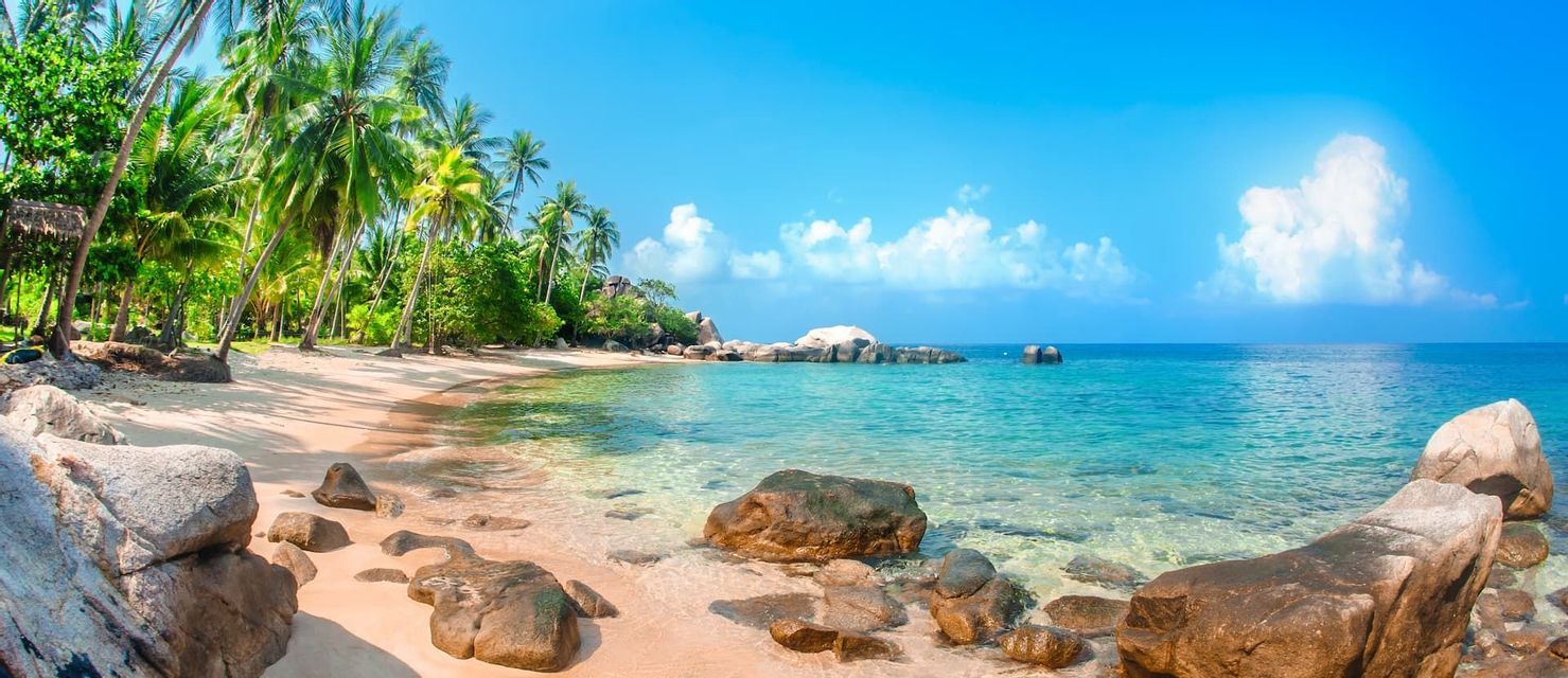 A sandy tropical beach with large boulders meets the clear turquoise ocean under a blue sky with palm trees on the shore.