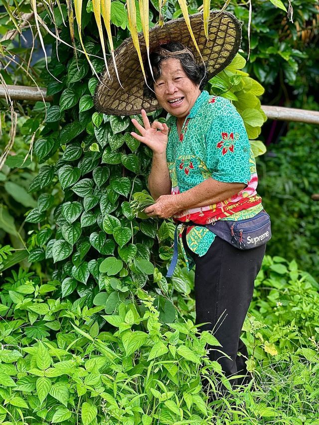 A smiling elderly woman in a woven hat makes an 'OK' sign with her hand while standing among lush green foliage.