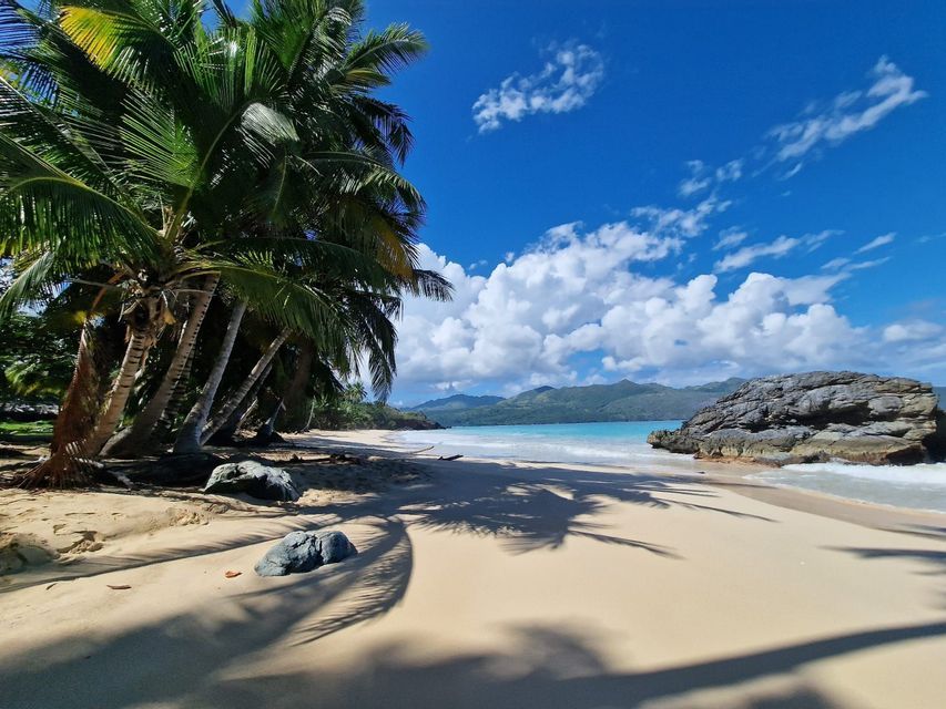 Palme proiettano lunghe ombre su una spiaggia sabbiosa che costeggia acque turchesi, con montagne in lontananza sotto un cielo blu e nuvoloso.