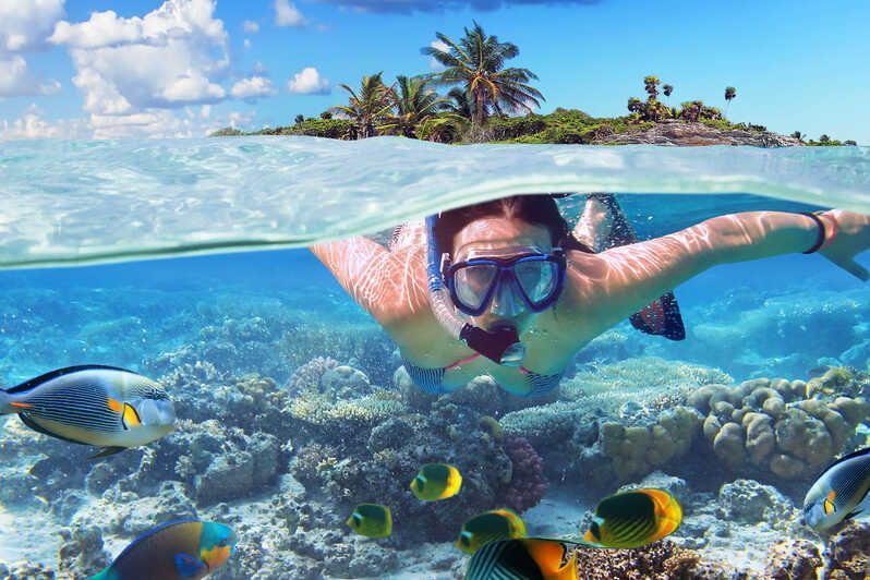 Una vista a filo d'acqua di una donna che fa snorkeling sott'acqua sopra una barriera corallina con pesci colorati e un'isola tropicale in superficie.