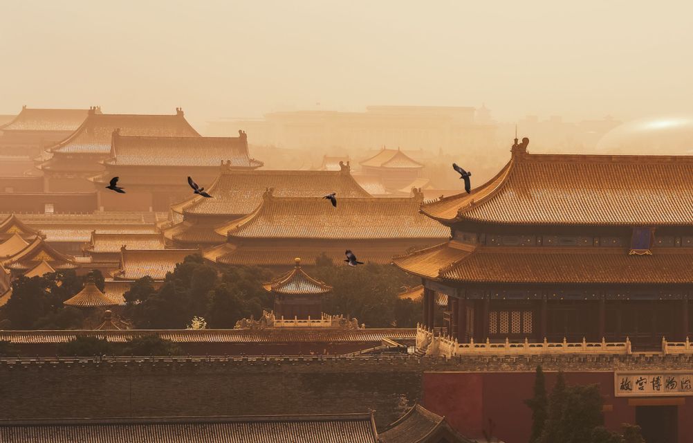 Uccelli che volano sopra i tetti di tegole dorate di edifici tradizionali asiatici contro un cielo caldo e velato