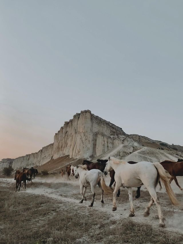 Una mandria di cavalli bianchi e marroni cammina lungo un sentiero polveroso alla base di una grande formazione rocciosa bianca.