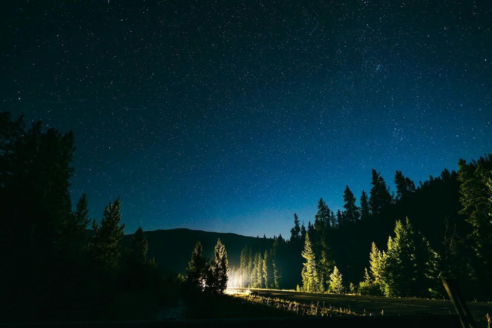 Una luce intensa illumina una strada che si snoda attraverso una pineta scura, sotto un cielo stellato.