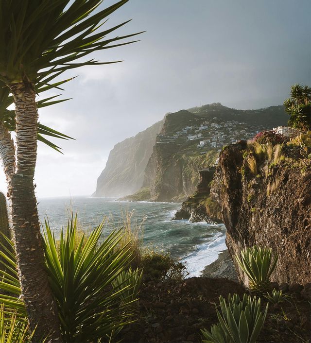 Un pueblo encaramado en un escarpado acantilado costero con vistas al océano, enmarcado por plantas tropicales en primer plano.