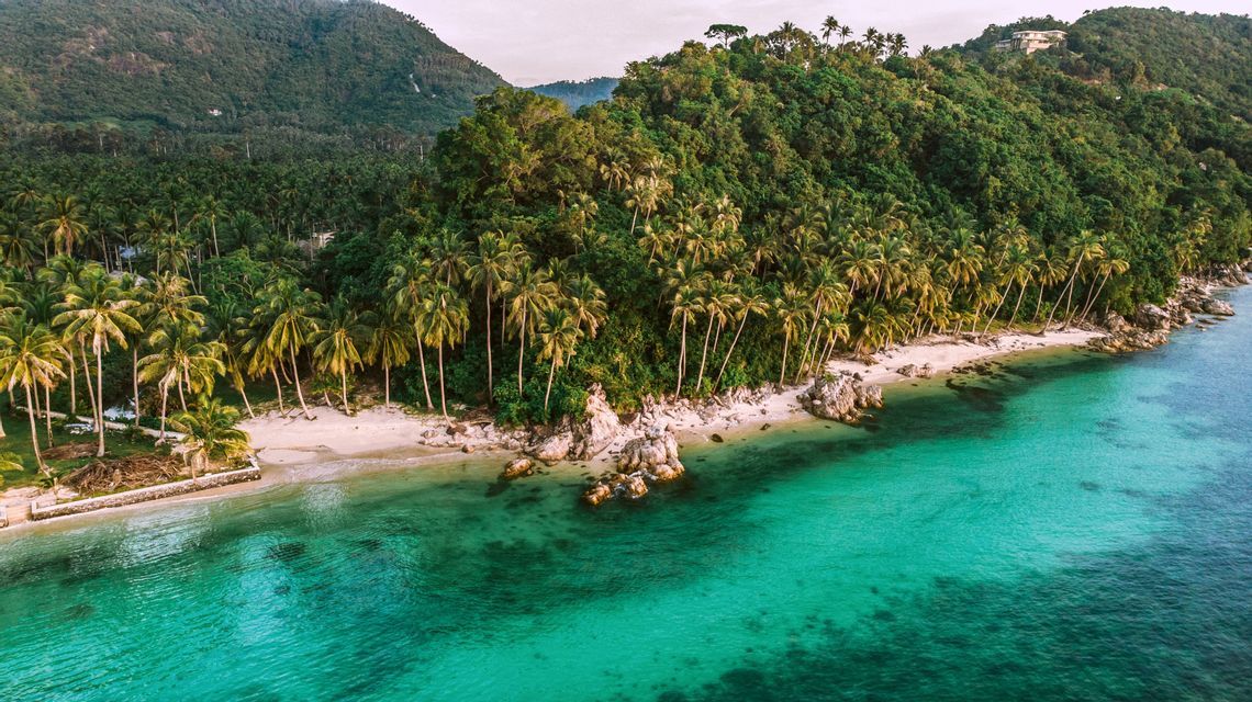 Une vue aérienne d'une plage tropicale avec de l'eau turquoise claire, bordée par une forêt dense de palmiers et une colline verdoyante.