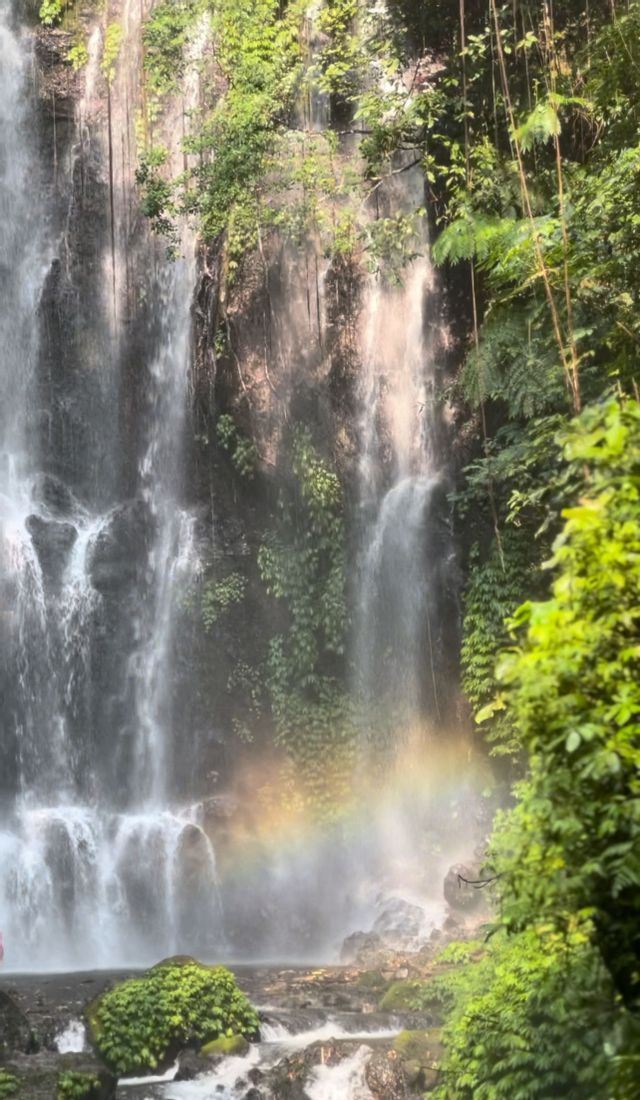 Una cascata scende da una scogliera rocciosa ricoperta di piante verdi, con un debole arcobaleno visibile nella nebbia sottostante.
