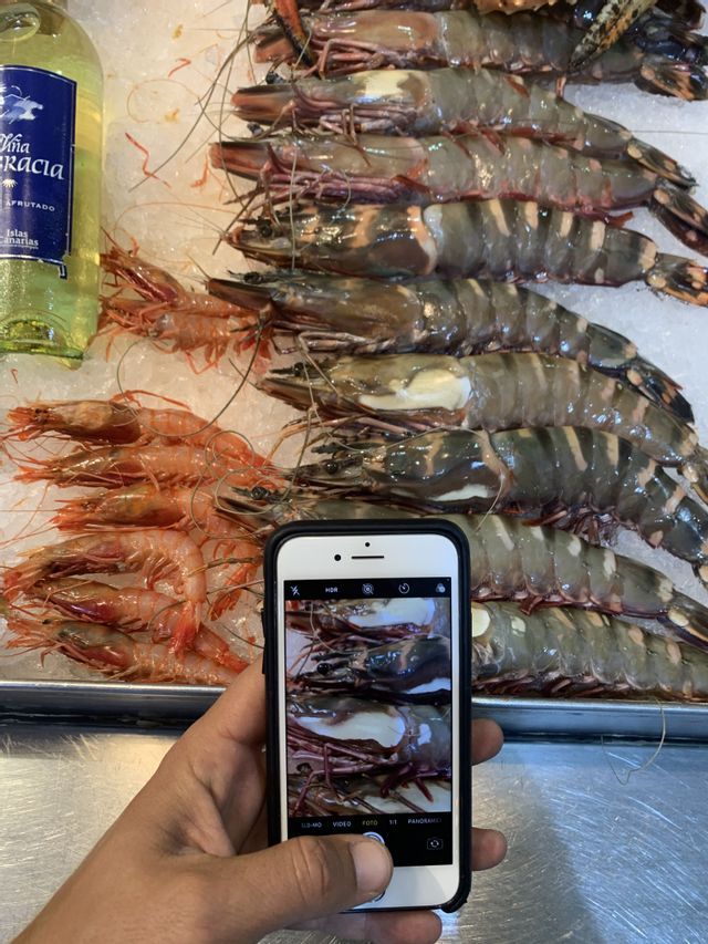 Una persona sostiene un teléfono inteligente para tomar una fotografía de grandes camarones tigre y camarones más pequeños dispuestos sobre una cama de hielo junto a una botella de vino.
