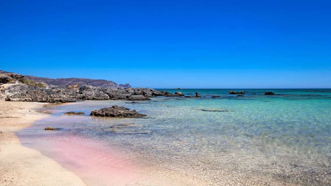 Una orilla de arena rosada que se encuentra con aguas turquesas claras y poco profundas, con rocas oscuras a lo largo de la costa bajo un cielo azul despejado.