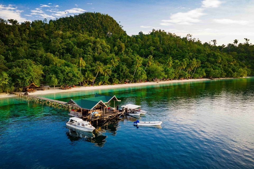 Un muelle de madera con un edificio de techo verde y varias embarcaciones se extiende sobre aguas cristalinas color turquesa, frente a una playa de arena y una exuberante colina cubierta de selva.