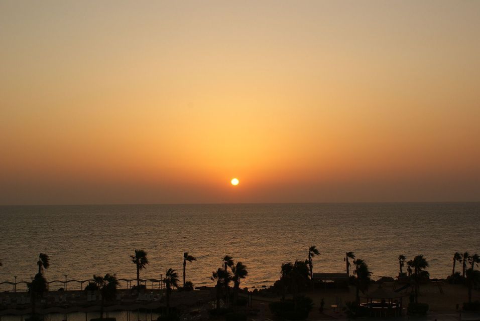 Il sole tramonta sul mare sotto un cielo arancione, con palme in silhouette lungo la costa in primo piano.