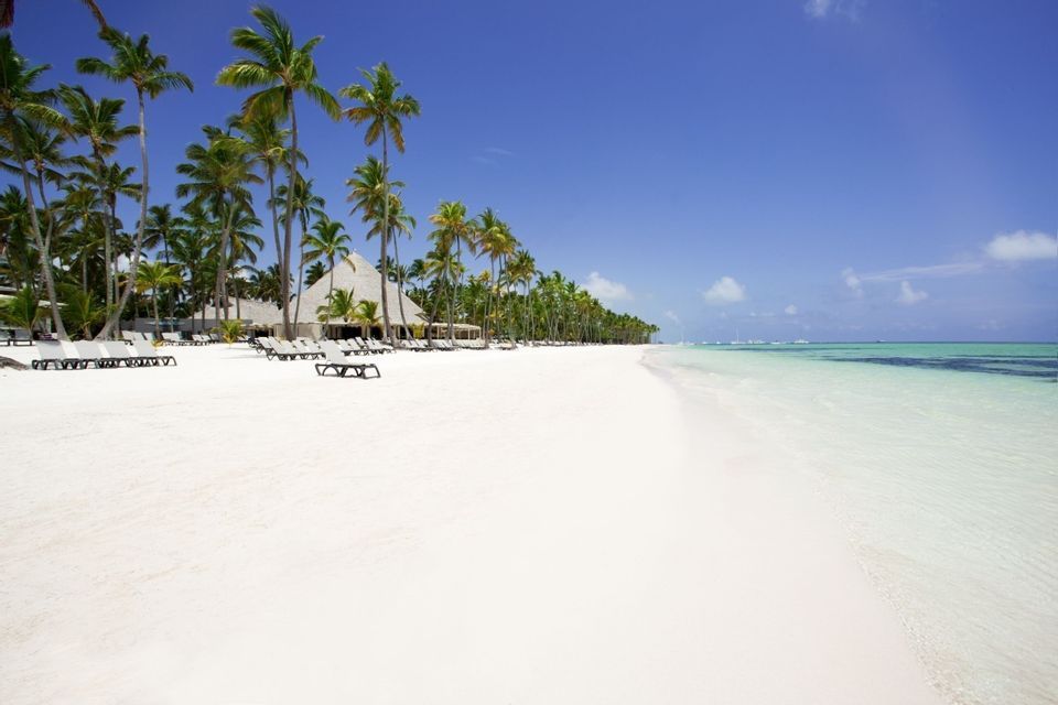 Une vaste plage de sable blanc, bordée de cocotiers et de chaises longues, au bord d'une eau de mer turquoise et limpide.