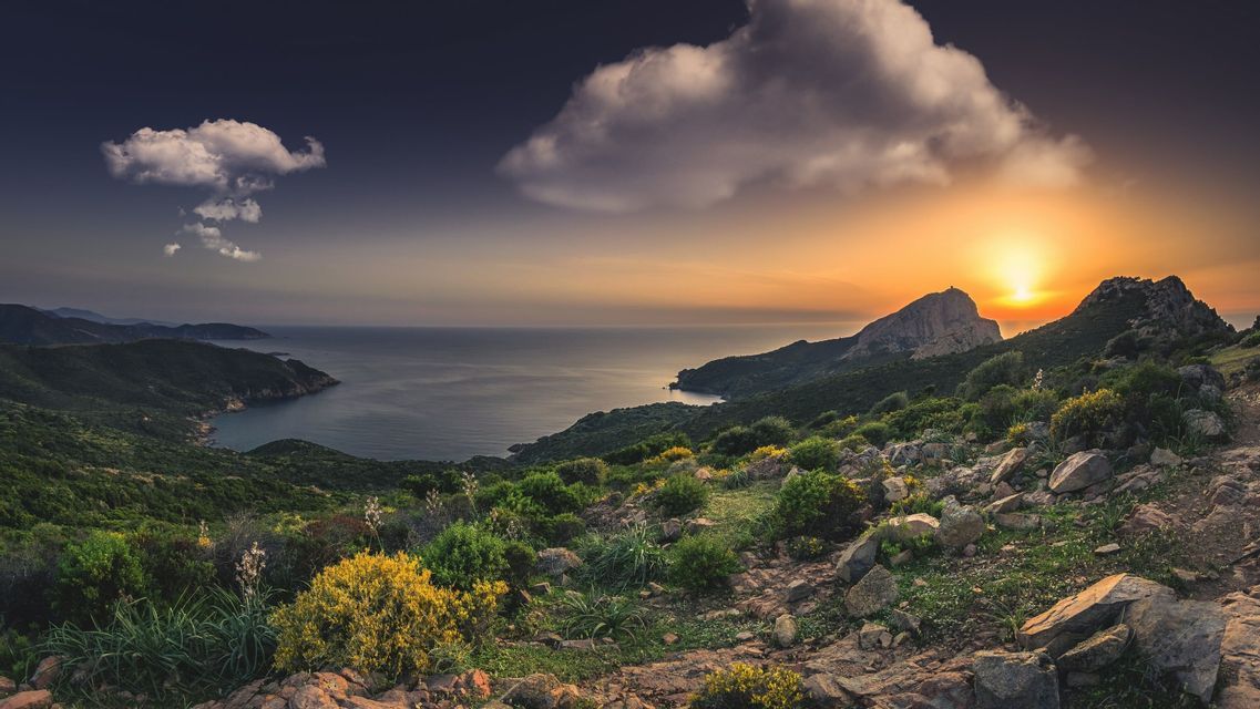 Il sole tramonta su una costa verde e montuosa che confina con il mare, con un pendio roccioso e ricoperto di piante in primo piano.