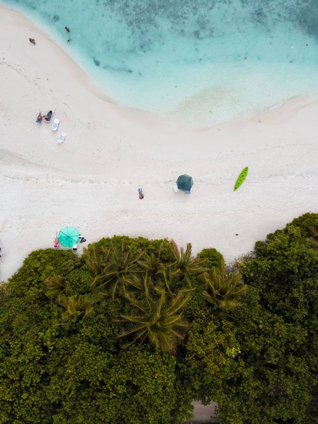 Vista aérea cenital de una playa de arena blanca donde un exuberante bosque verde se encuentra con el océano turquesa cristalino, con gente relajándose en la orilla.