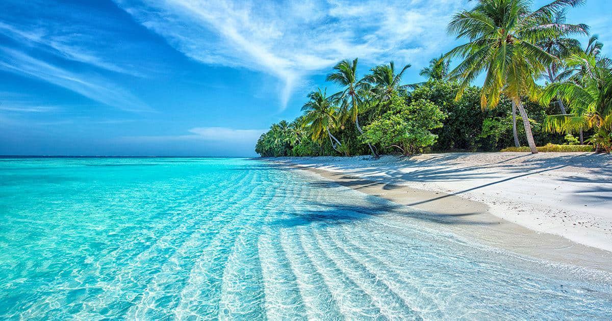 Agua cristalina turquesa baña una playa de arena blanca bordeada de palmeras verdes bajo un cielo azul con nubes claras.