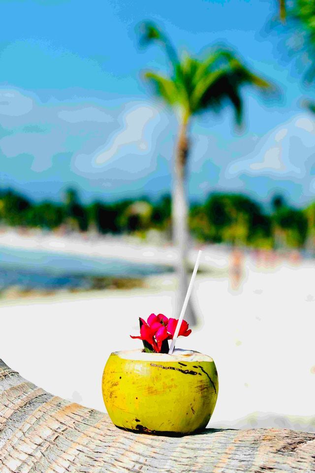 Una fresca bevanda al cocco con un fiore rosso e una cannuccia poggia sul tronco di una palma su una spiaggia tropicale, con una palma sullo sfondo.