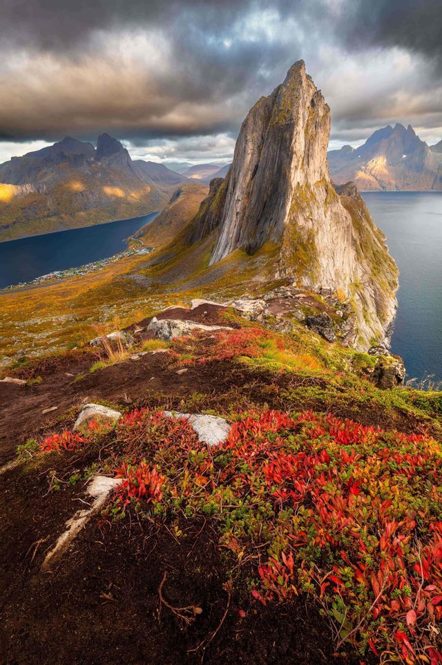 Fogliame autunnale rosso su una scogliera a picco che domina una cima montuosa aguzza e un fiordo, sotto un cielo nuvoloso.