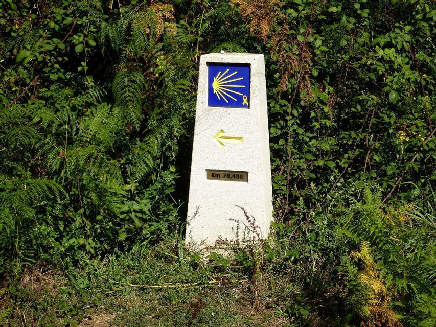 Un hito de piedra para el Camino de Santiago, marcado con una flecha amarilla y el símbolo de la concha, rodeado de vegetación verde.