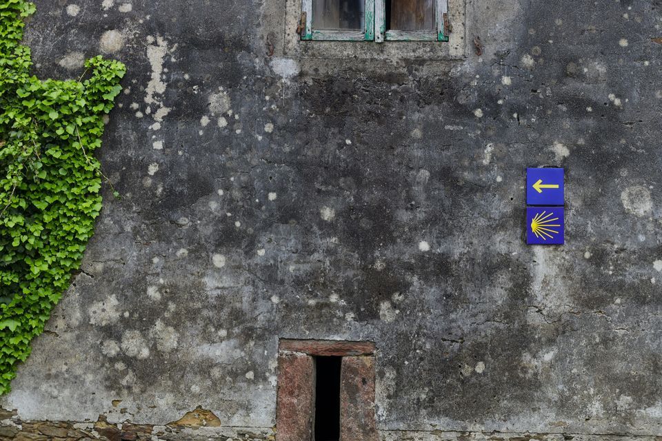 Una señal azul del Camino de Santiago con una concha de vieira amarilla y una flecha en un muro de piedra desgastado y cubierto de hiedra.