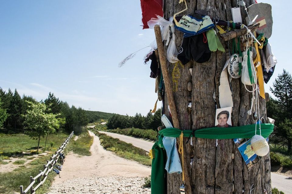 Un poste de madera cubierto con recuerdos personales como fotos y telas, con vistas a un sendero sinuoso a través de un paisaje boscoso.
