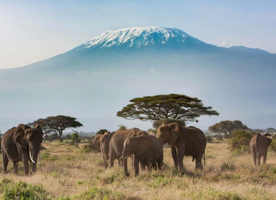Viajes en grupo a Kenya