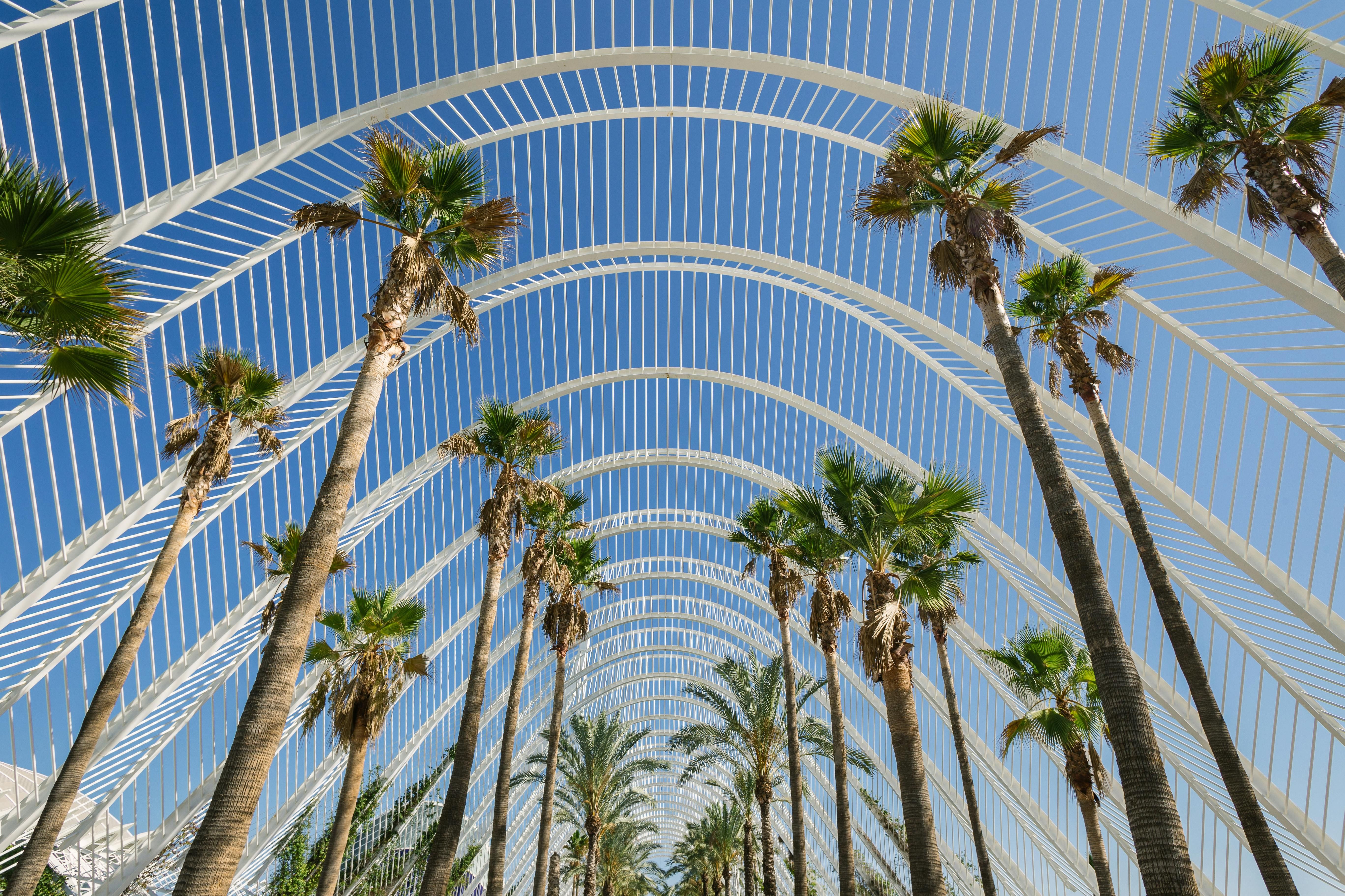 Foto del viaje Valencia Weekend: Oceanogràfic, playas doradas y fiesta latina